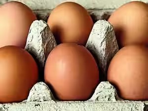 Egg prices soar in India as maize, soybean costs push up poultry expenses